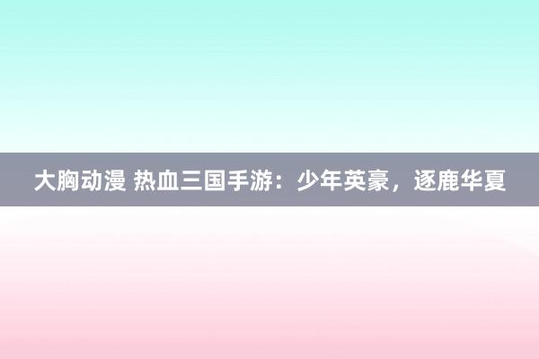 大胸动漫 热血三国手游：少年英豪，逐鹿华夏