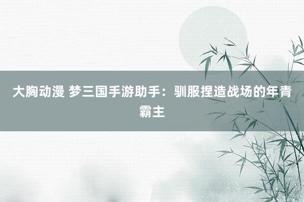 大胸动漫 梦三国手游助手：驯服捏造战场的年青霸主