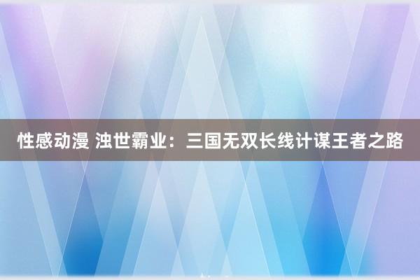 性感动漫 浊世霸业：三国无双长线计谋王者之路