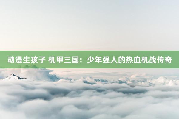 动漫生孩子 机甲三国：少年强人的热血机战传奇