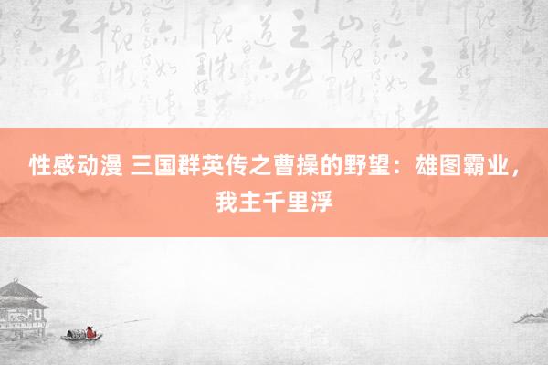 性感动漫 三国群英传之曹操的野望：雄图霸业，我主千里浮