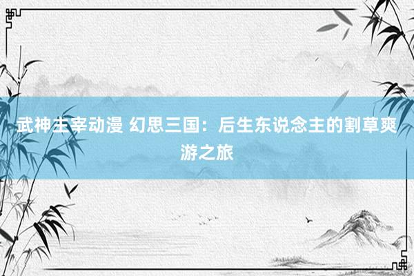 武神主宰动漫 幻思三国：后生东说念主的割草爽游之旅