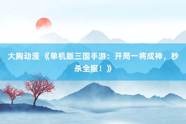 大胸动漫 《单机版三国手游：开局一将成神，秒杀全服！》