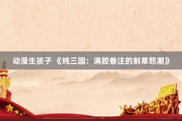 动漫生孩子 《纯三国：满腔眷注的割草怒潮》