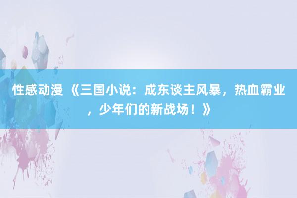性感动漫 《三国小说：成东谈主风暴，热血霸业，少年们的新战场！》