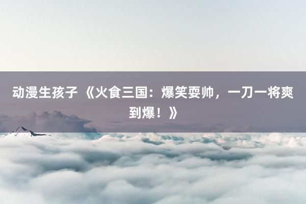 动漫生孩子 《火食三国：爆笑耍帅，一刀一将爽到爆！》