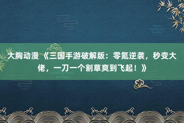 大胸动漫 《三国手游破解版：零氪逆袭，秒变大佬，一刀一个割草爽到飞起！》