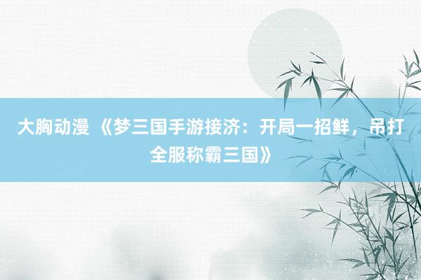大胸动漫 《梦三国手游接济：开局一招鲜，吊打全服称霸三国》