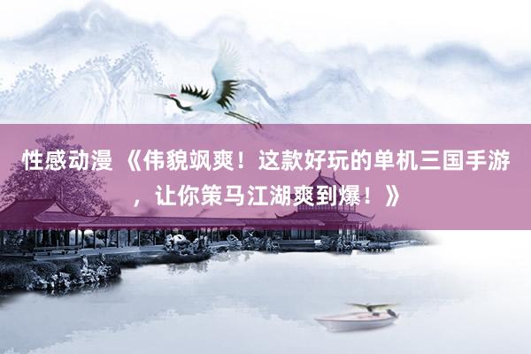 性感动漫 《伟貌飒爽！这款好玩的单机三国手游，让你策马江湖爽到爆！》