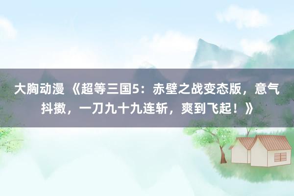 大胸动漫 《超等三国5：赤壁之战变态版，意气抖擞，一刀九十九连斩，爽到飞起！》